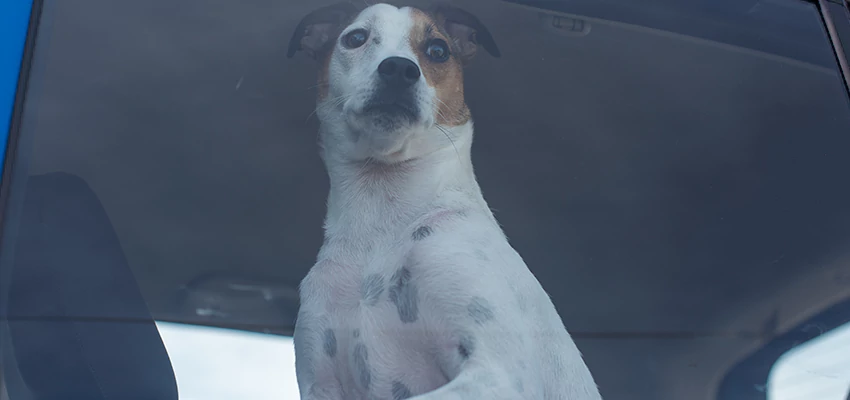 Car Lockout Solutions in French Valley, California